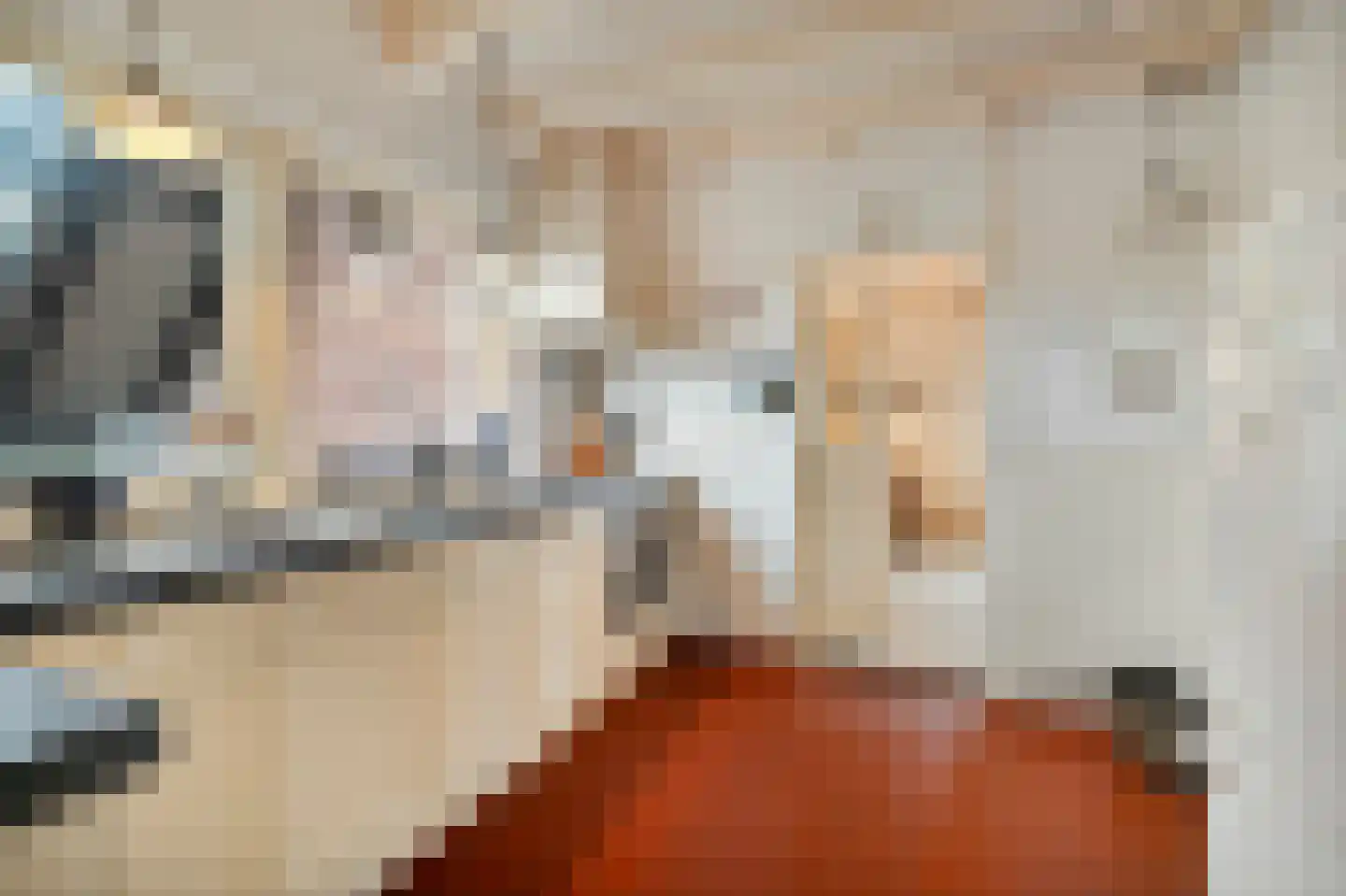 Veilingweg 47 Warmenhuizen thumbnail 25