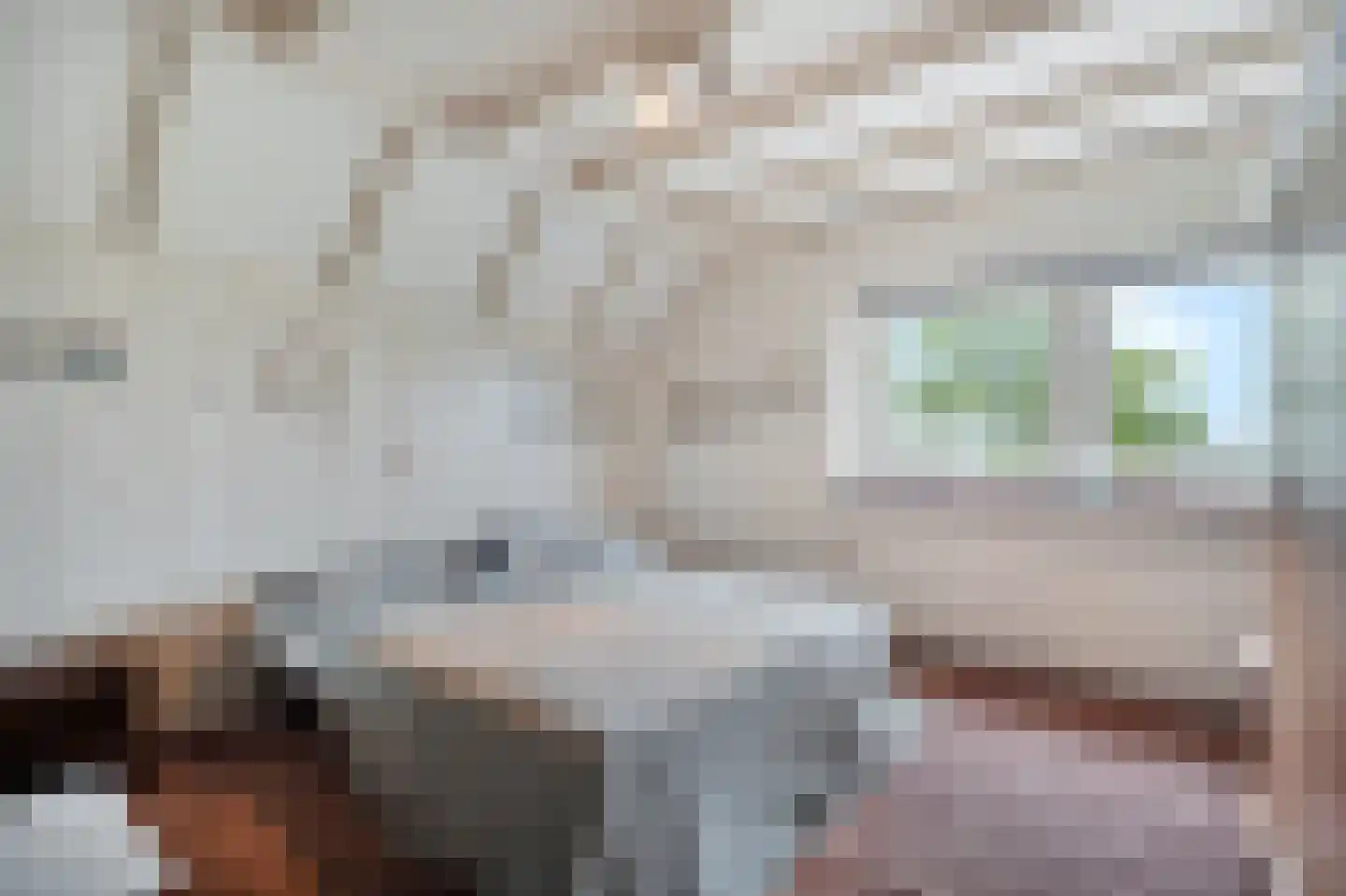 Veilingweg 47 Warmenhuizen thumbnail 29