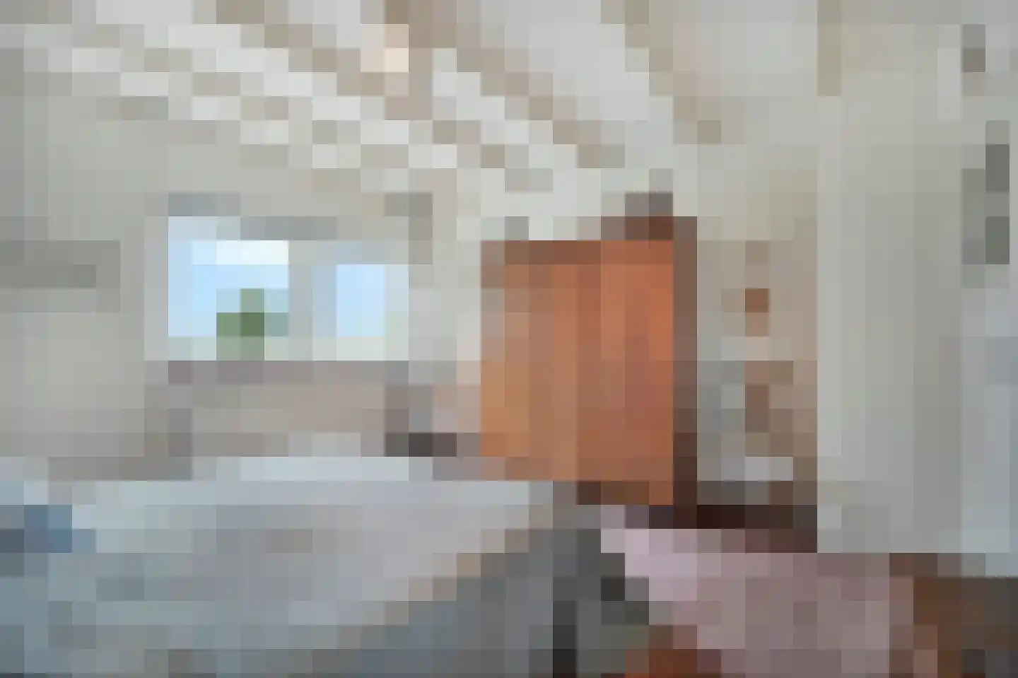 Veilingweg 47 Warmenhuizen thumbnail 30