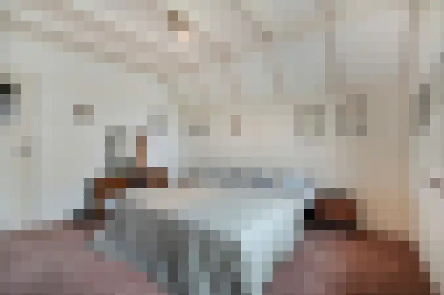Veilingweg 47 Warmenhuizen thumbnail 31