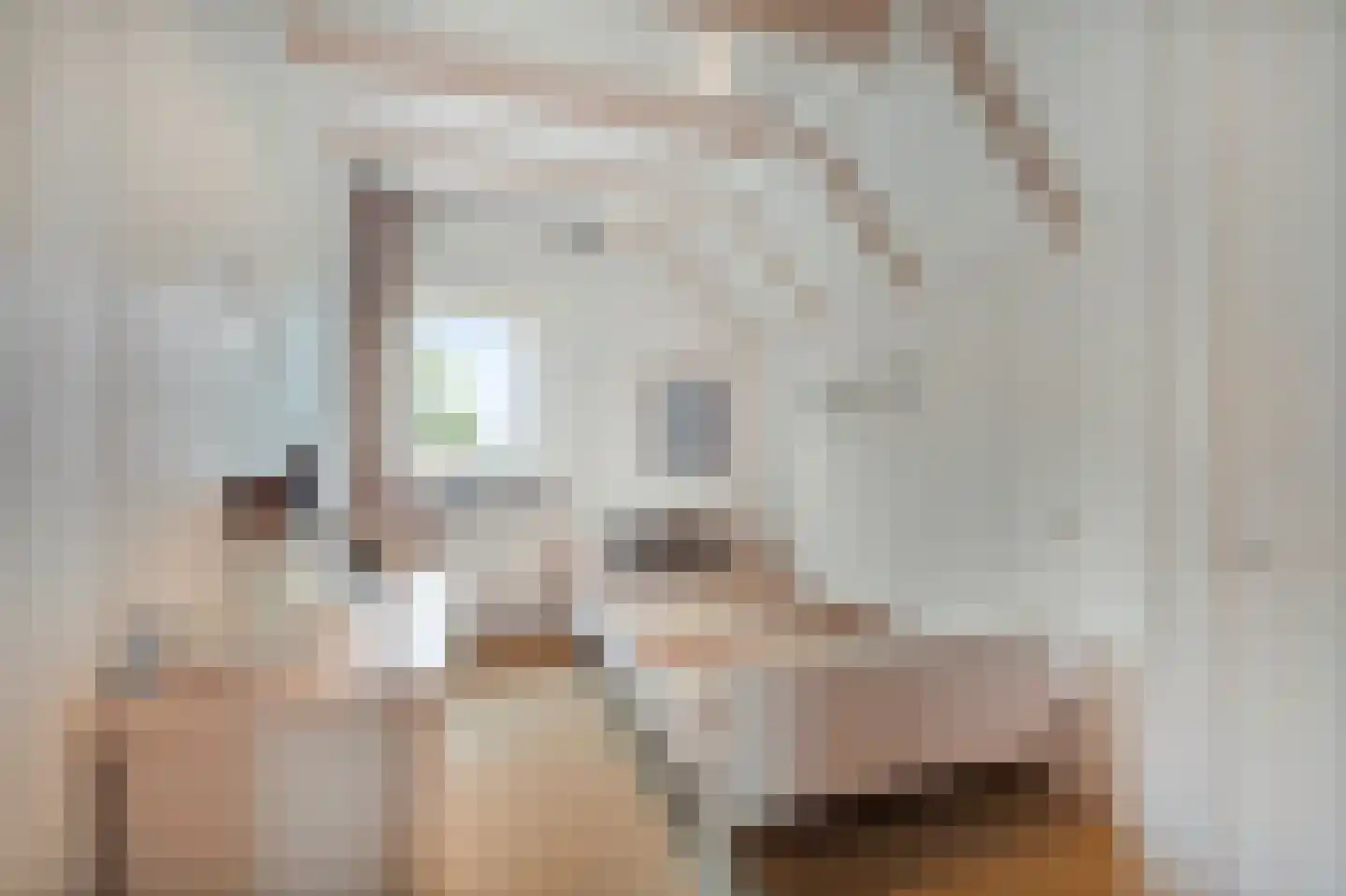 Veilingweg 47 Warmenhuizen thumbnail 33