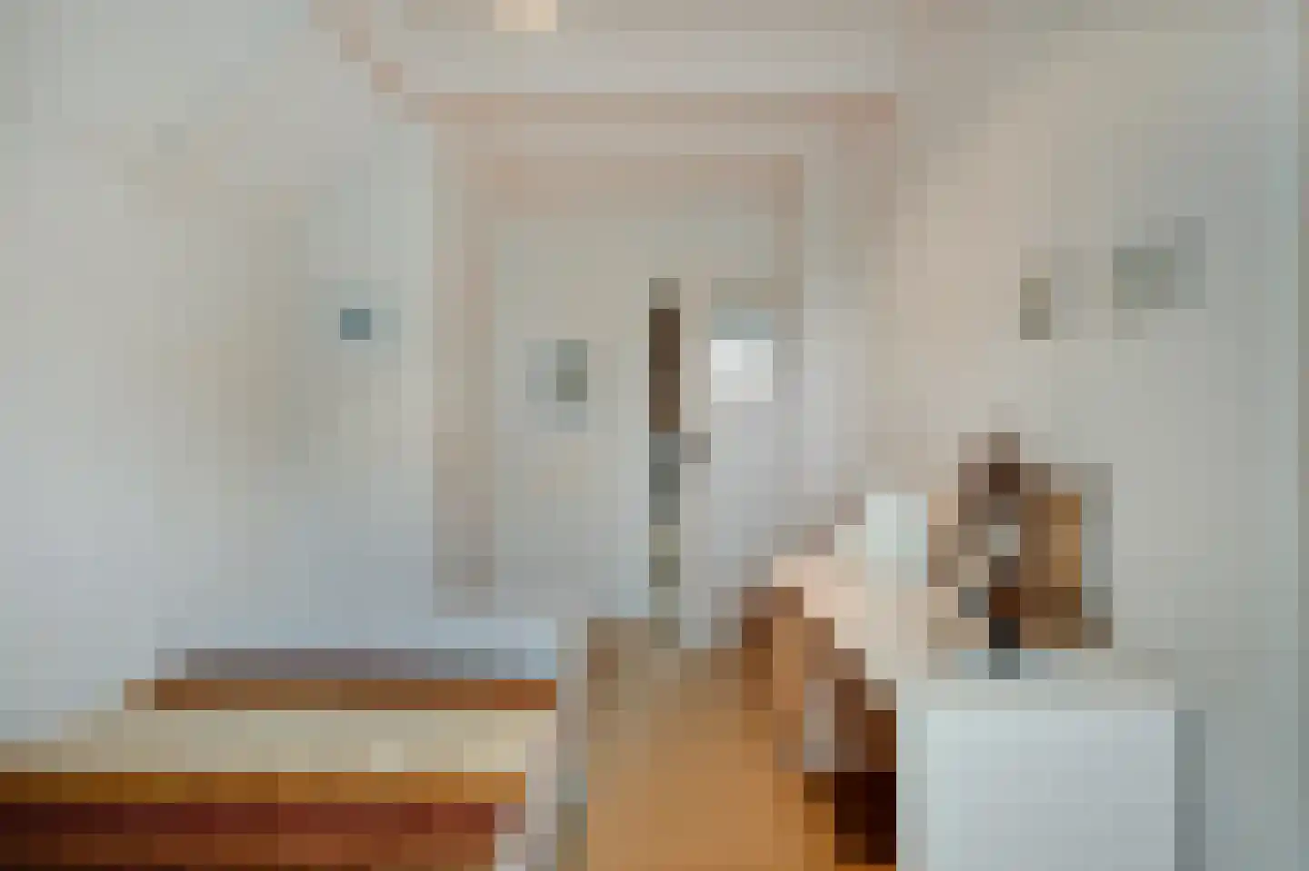 Veilingweg 47 Warmenhuizen thumbnail 34