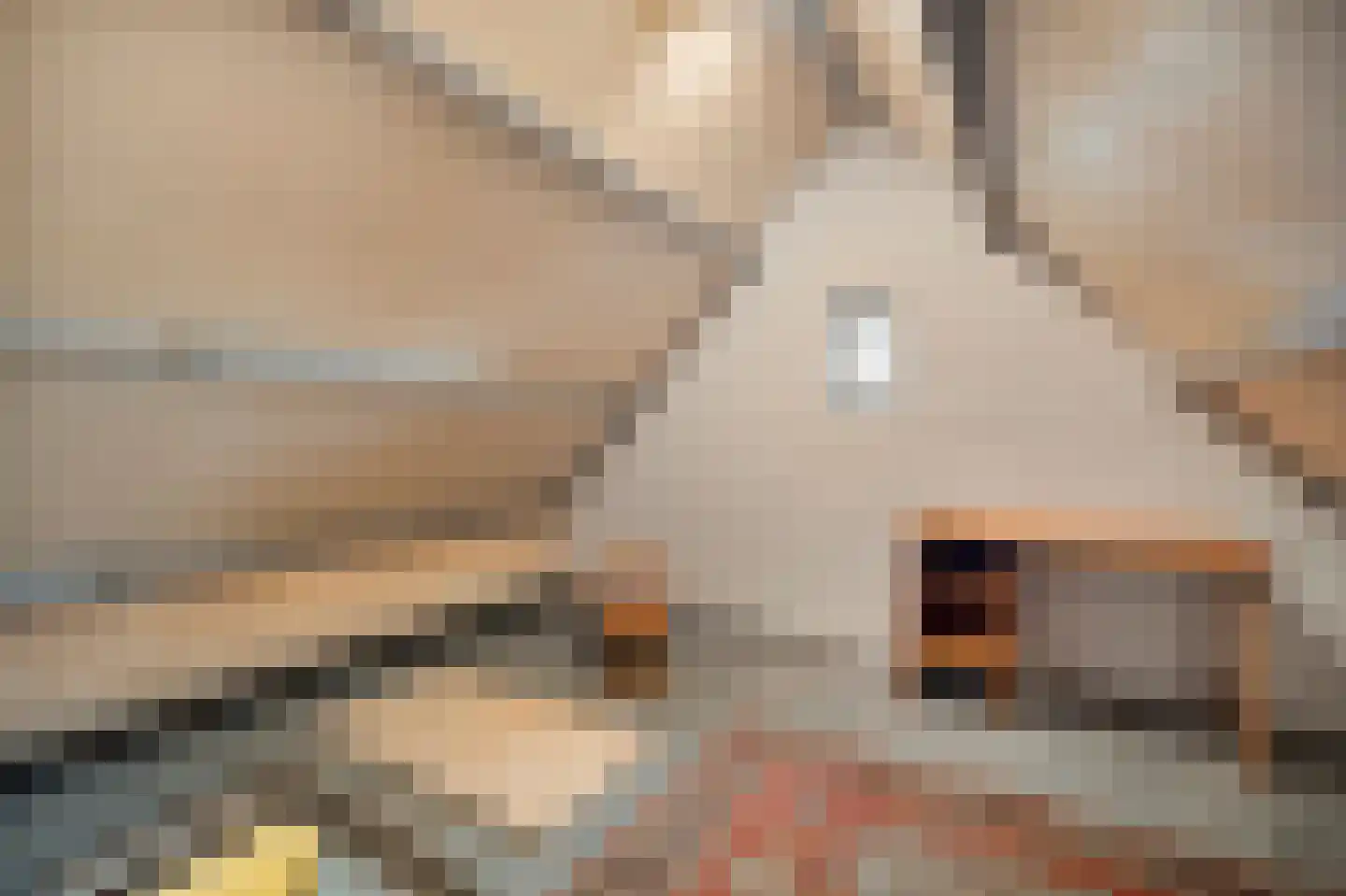 Veilingweg 47 Warmenhuizen thumbnail 41