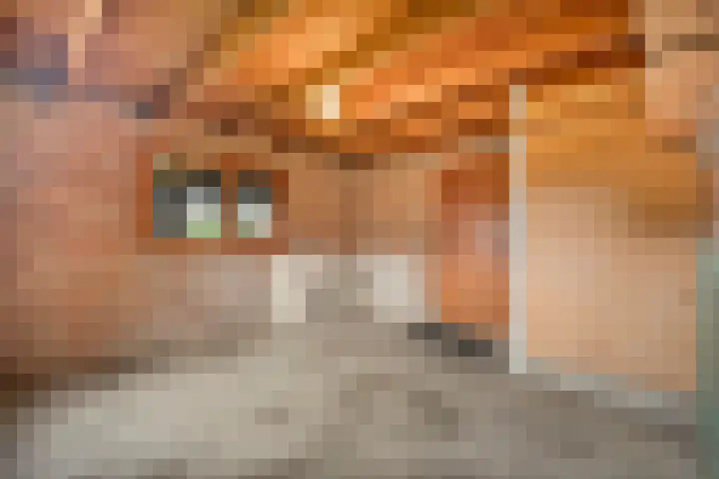 Veilingweg 47 Warmenhuizen thumbnail 43