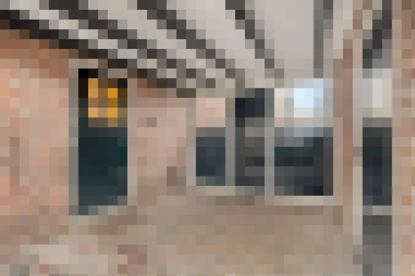 Veilingweg 47 Warmenhuizen thumbnail 44