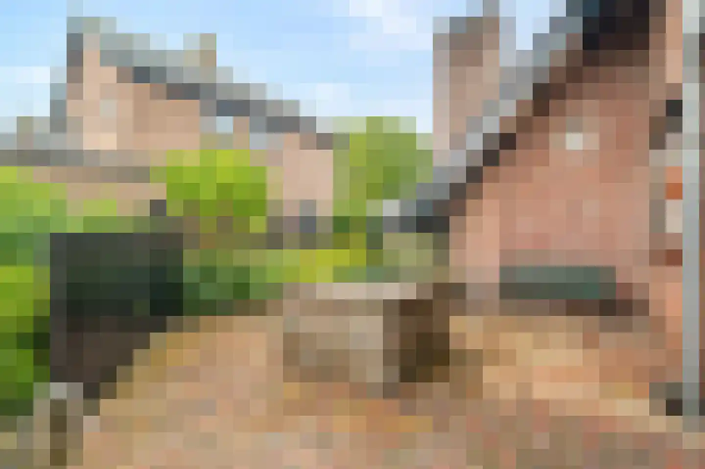 Veilingweg 47 Warmenhuizen thumbnail 47