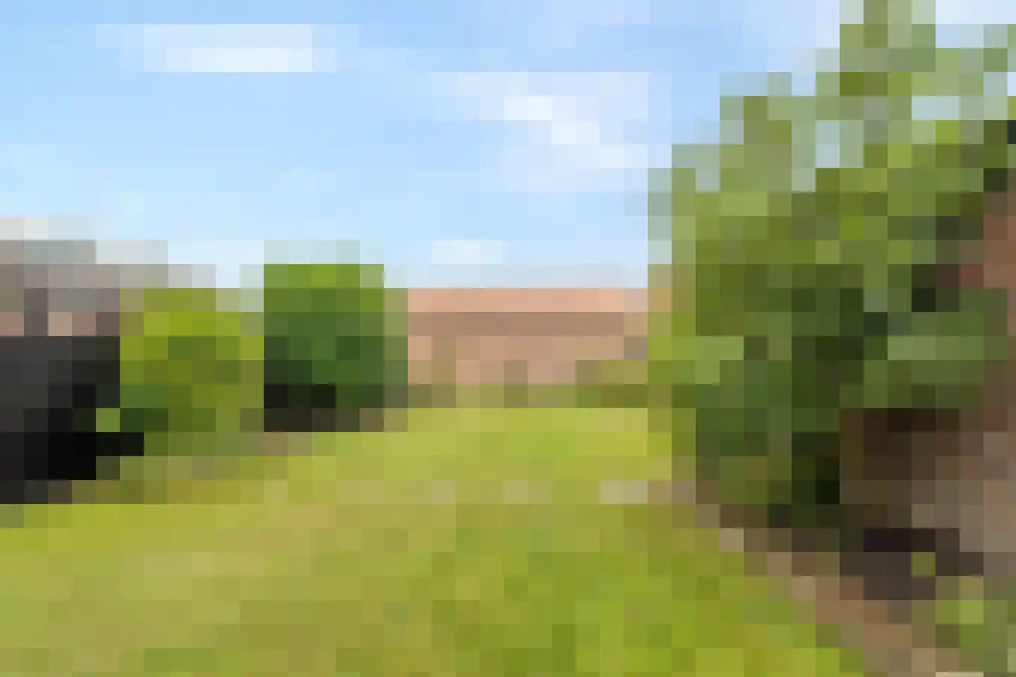 Veilingweg 47 Warmenhuizen thumbnail 50