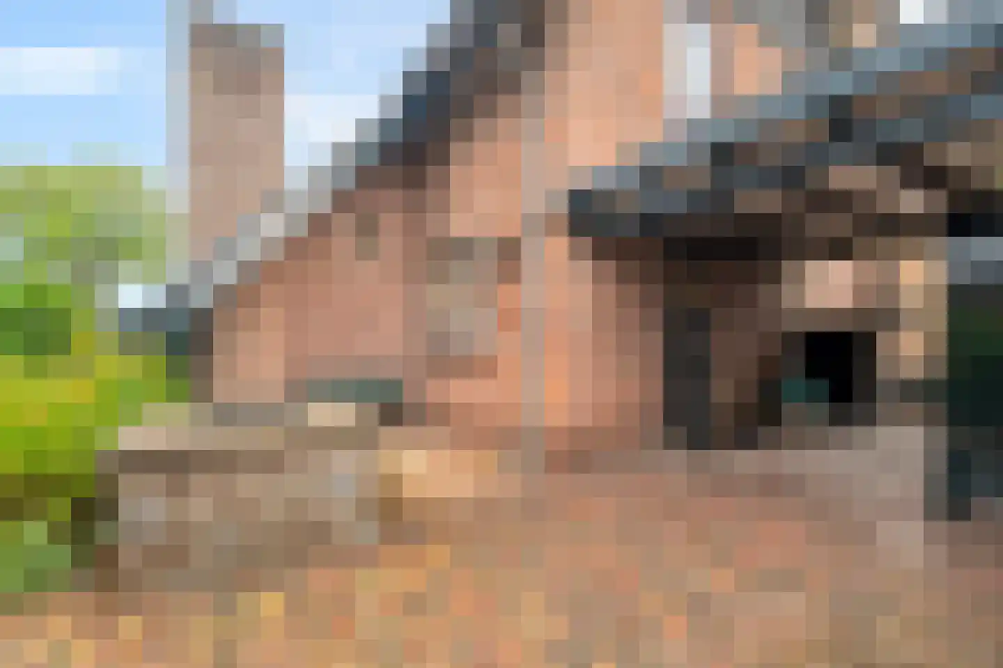 Veilingweg 47 Warmenhuizen thumbnail 52