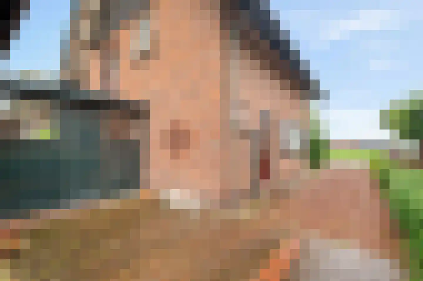 Veilingweg 47 Warmenhuizen thumbnail 53