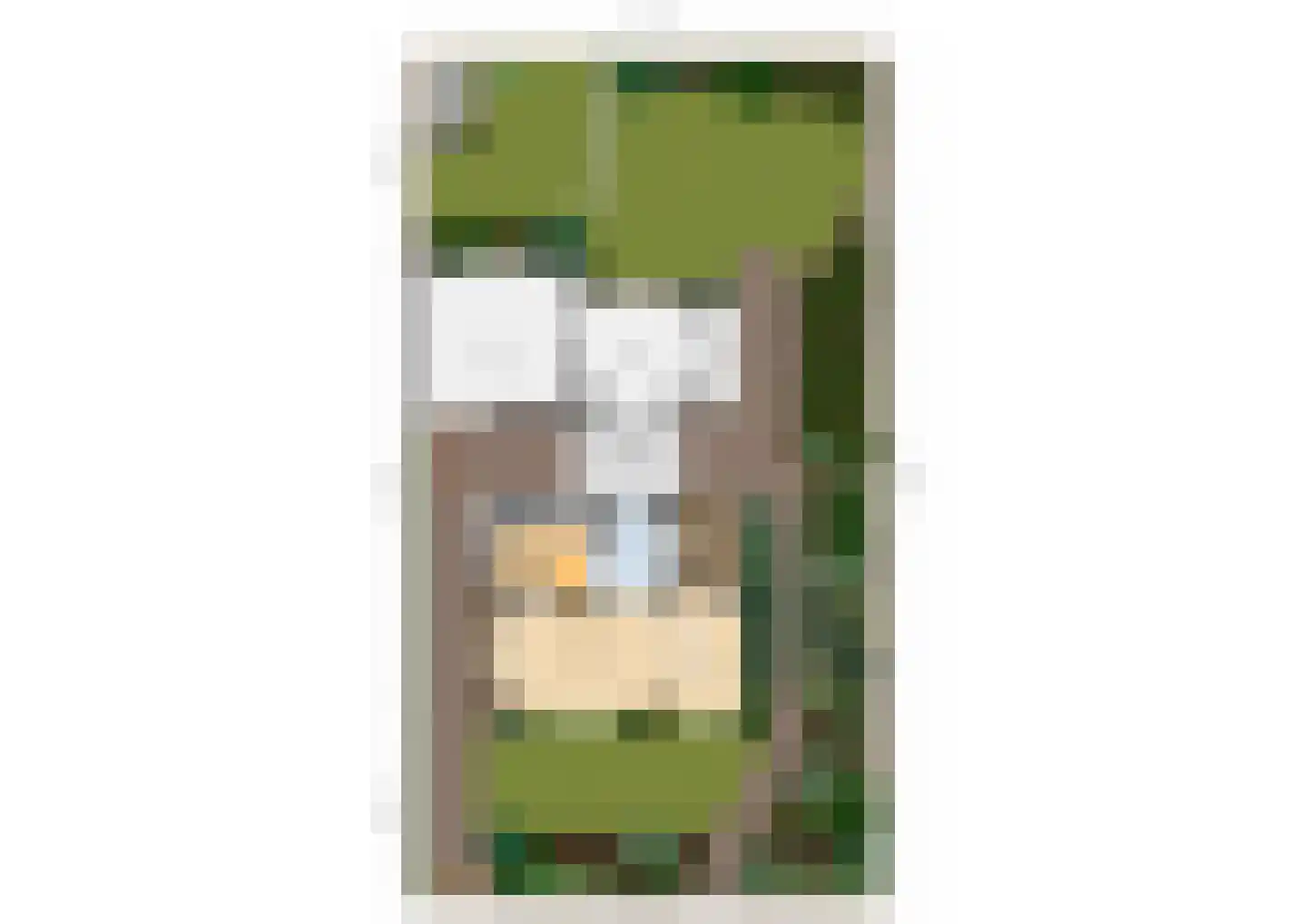 Veilingweg 47 Warmenhuizen thumbnail 56