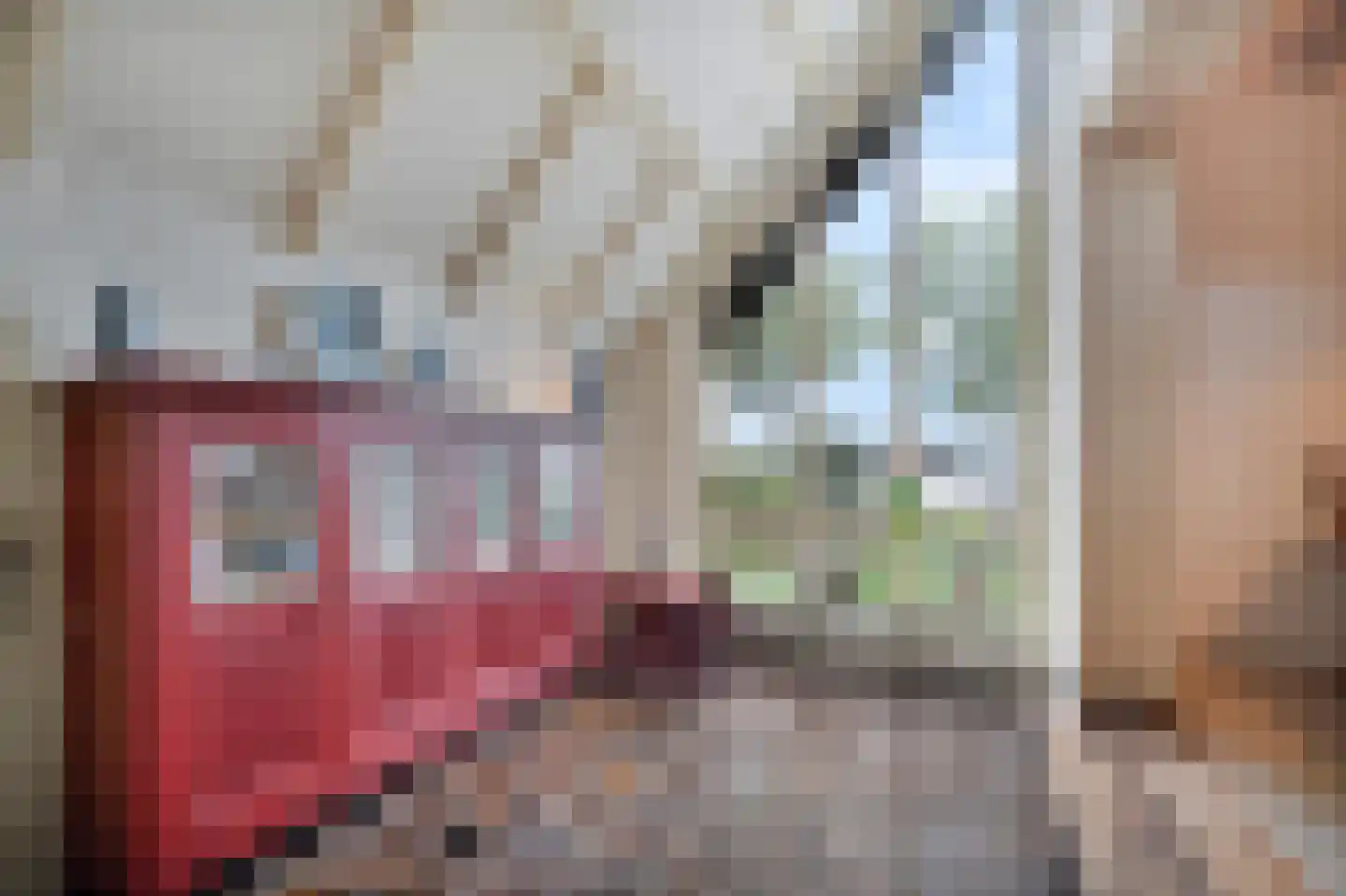 Veilingweg 47 Warmenhuizen thumbnail 6