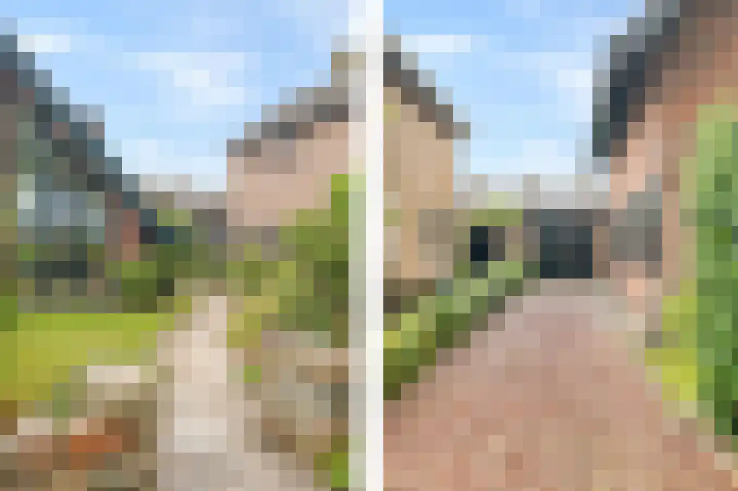 Veilingweg 47 Warmenhuizen thumbnail 9