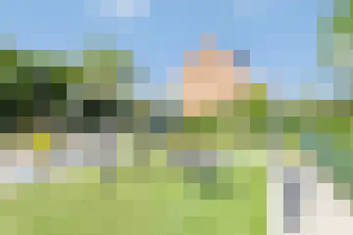 Veilingweg 5 Avenhorn thumbnail 30