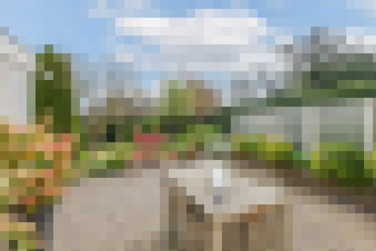 Veilingweg 61 Warmenhuizen thumbnail 19
