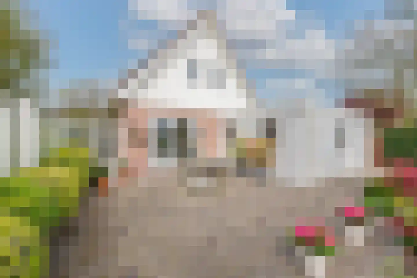 Veilingweg 61 Warmenhuizen thumbnail 20