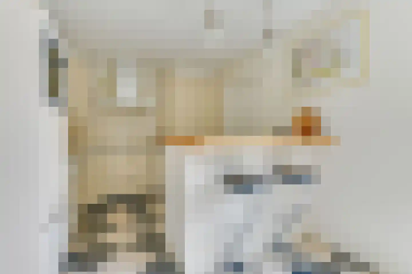 Veilingweg 61 Warmenhuizen thumbnail 22