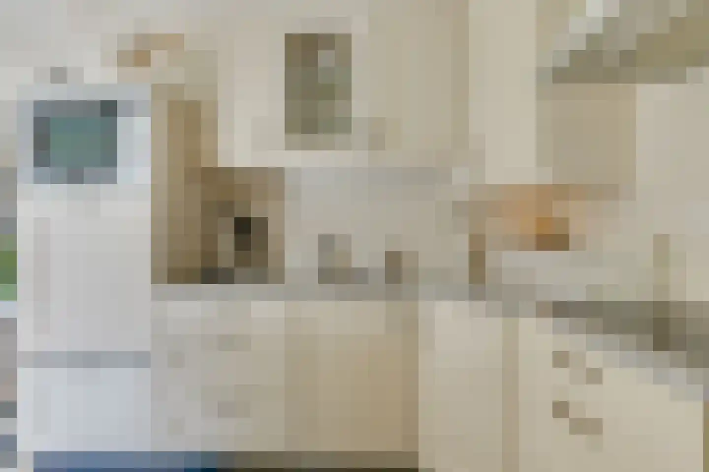 Veilingweg 61 Warmenhuizen thumbnail 24