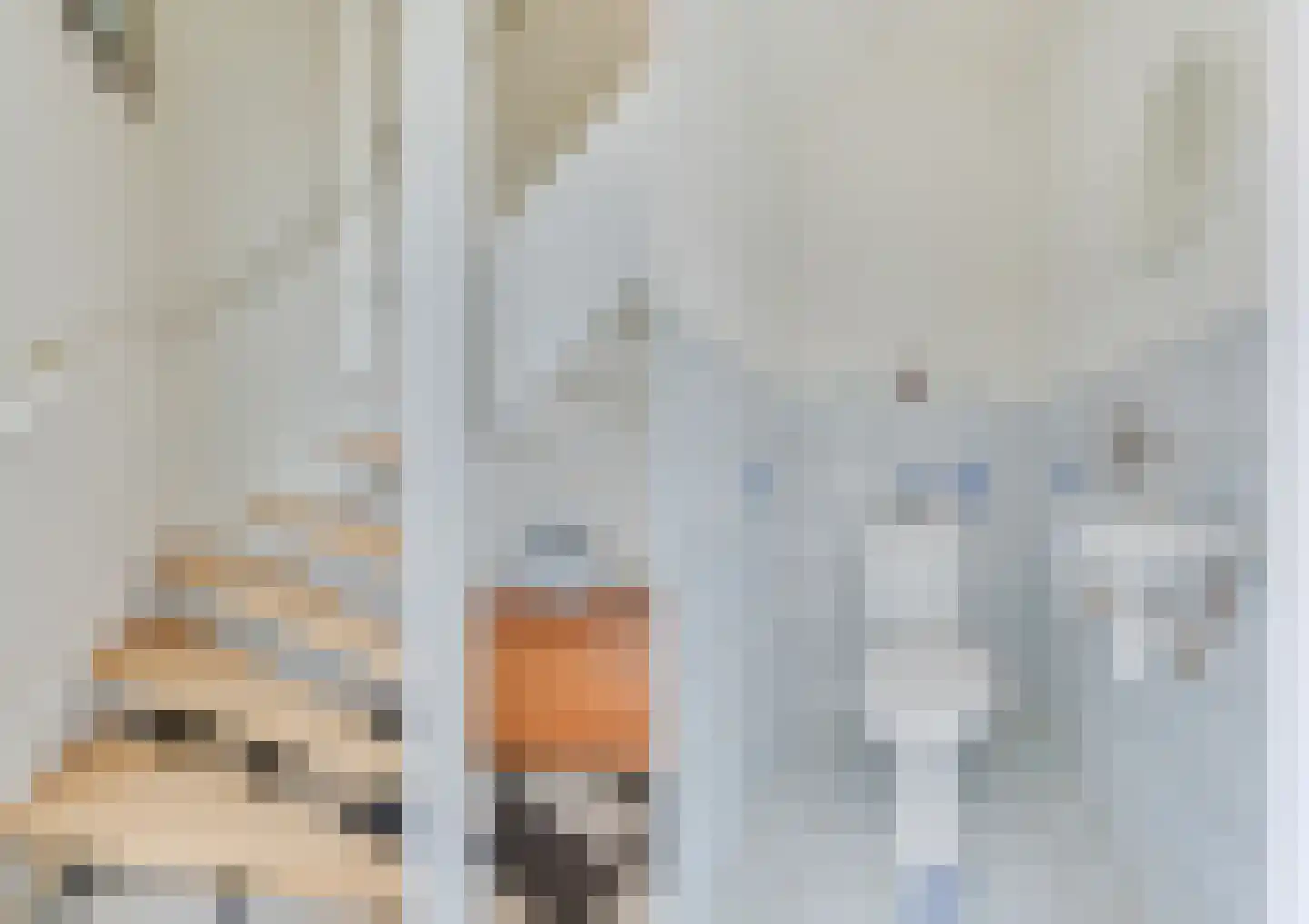 Veilingweg 61 Warmenhuizen thumbnail 31