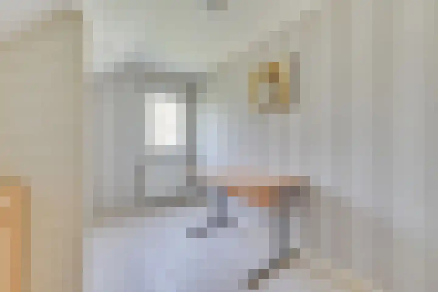 Veilingweg 61 Warmenhuizen thumbnail 41