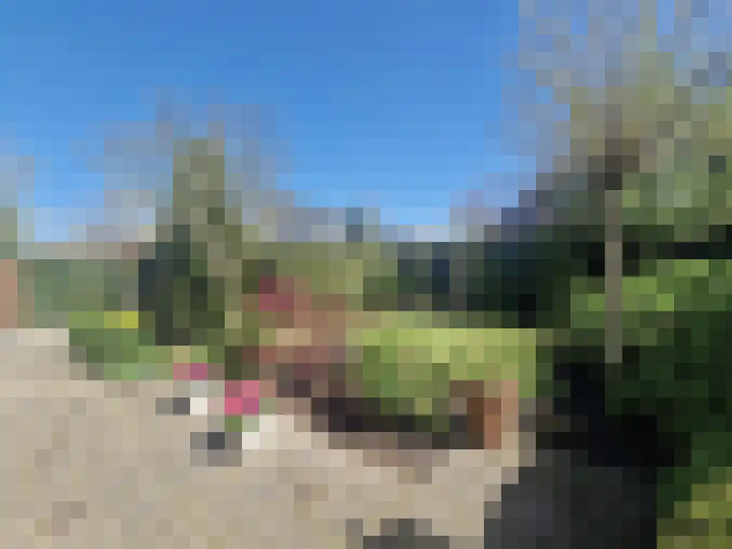 Veilingweg 61 Warmenhuizen thumbnail 49