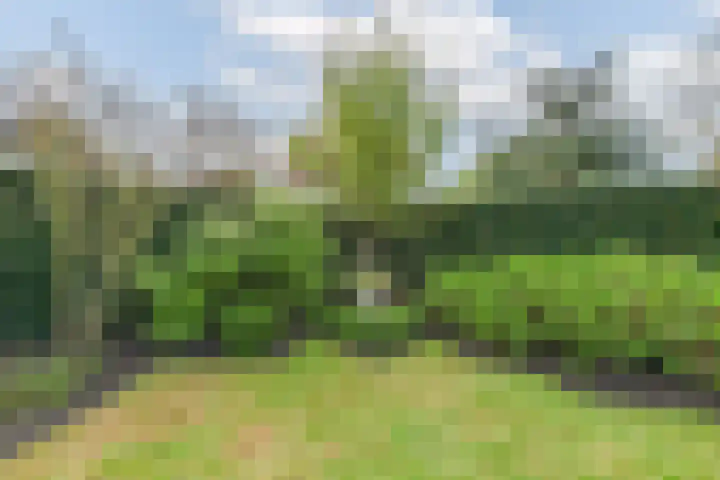 Veilingweg 61 Warmenhuizen thumbnail 50