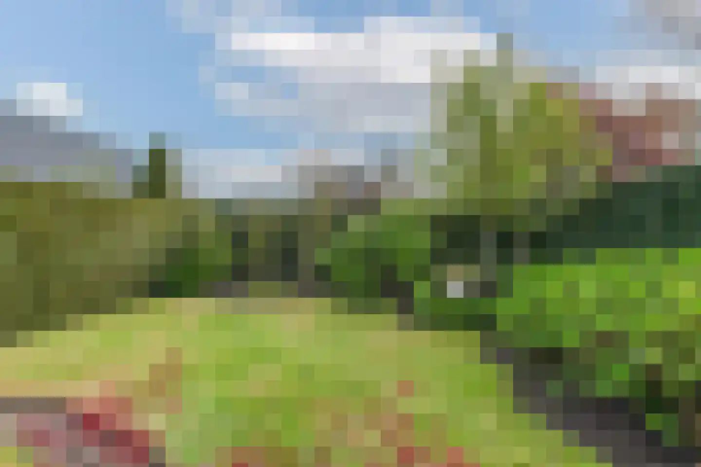 Veilingweg 61 Warmenhuizen thumbnail 52