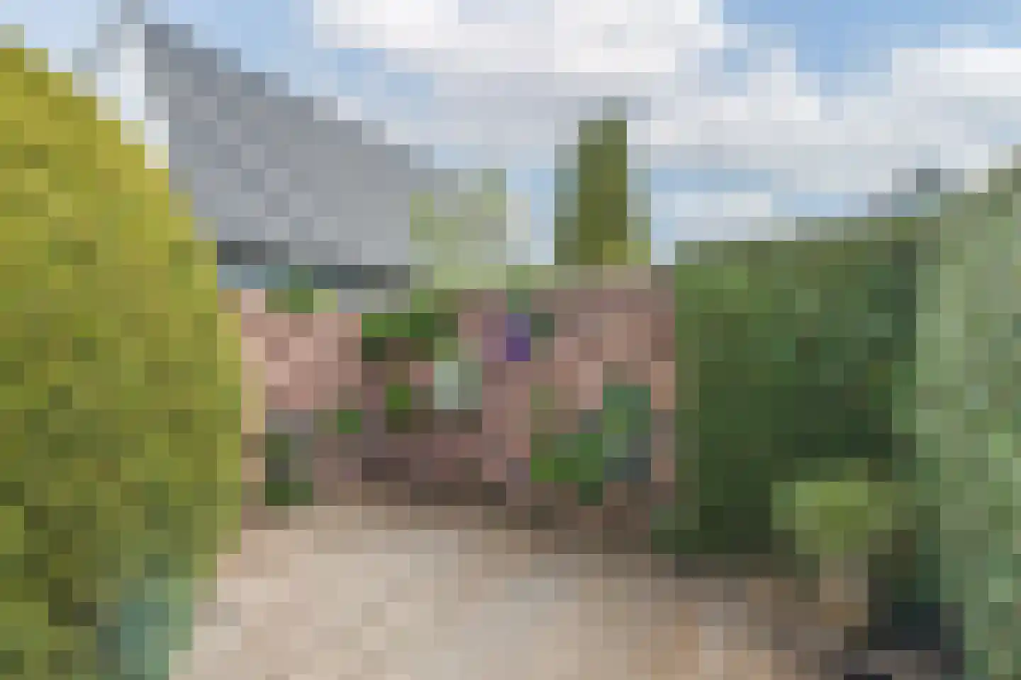 Veilingweg 61 Warmenhuizen thumbnail 53