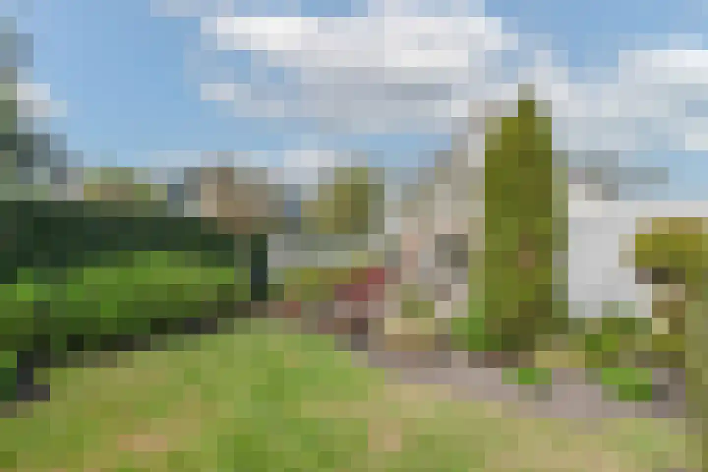 Veilingweg 61 Warmenhuizen thumbnail 54