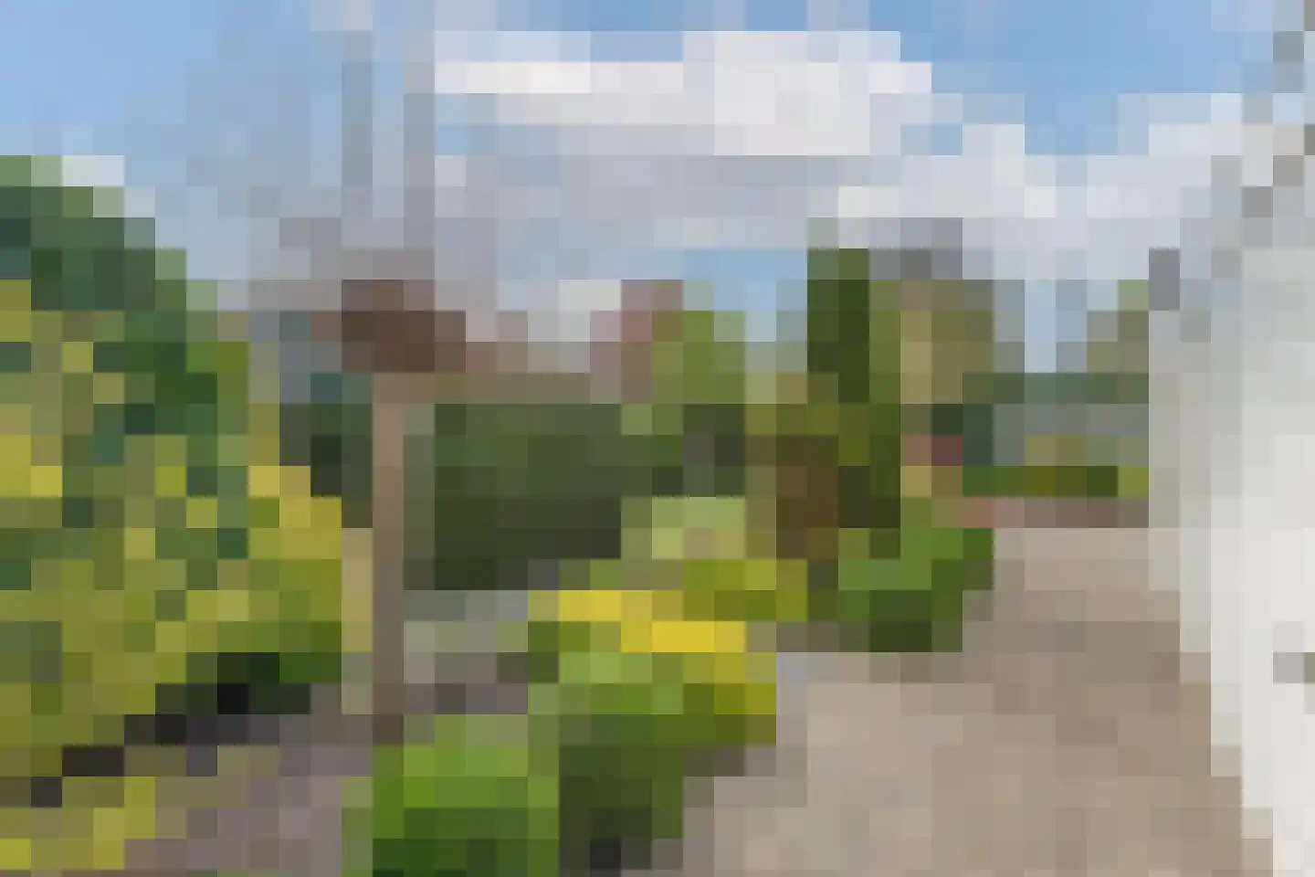 Veilingweg 61 Warmenhuizen thumbnail 55