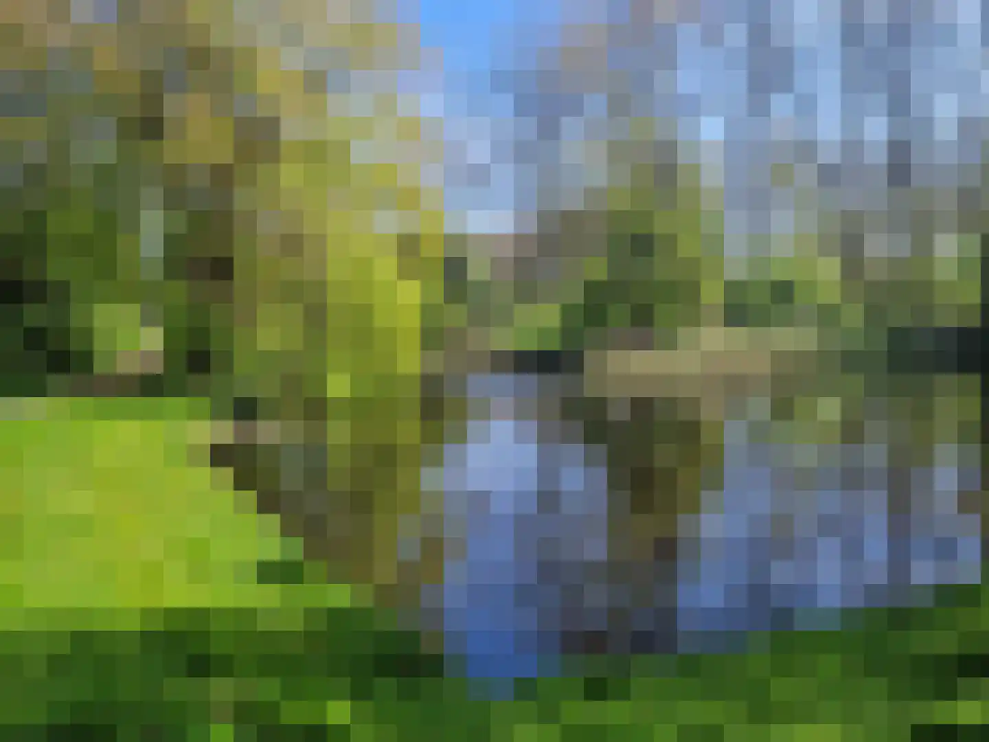 Veilingweg 61 Warmenhuizen thumbnail 58