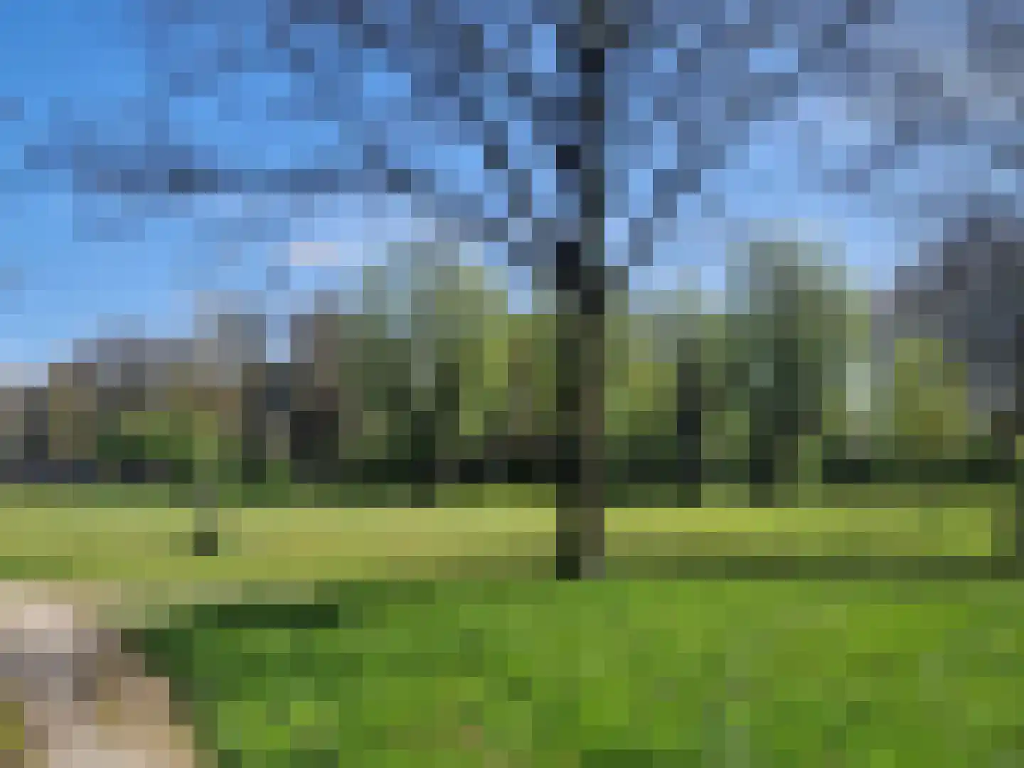 Veilingweg 61 Warmenhuizen thumbnail 59