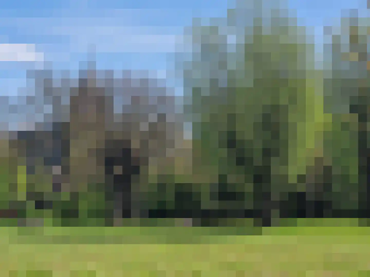 Veilingweg 61 Warmenhuizen thumbnail 60