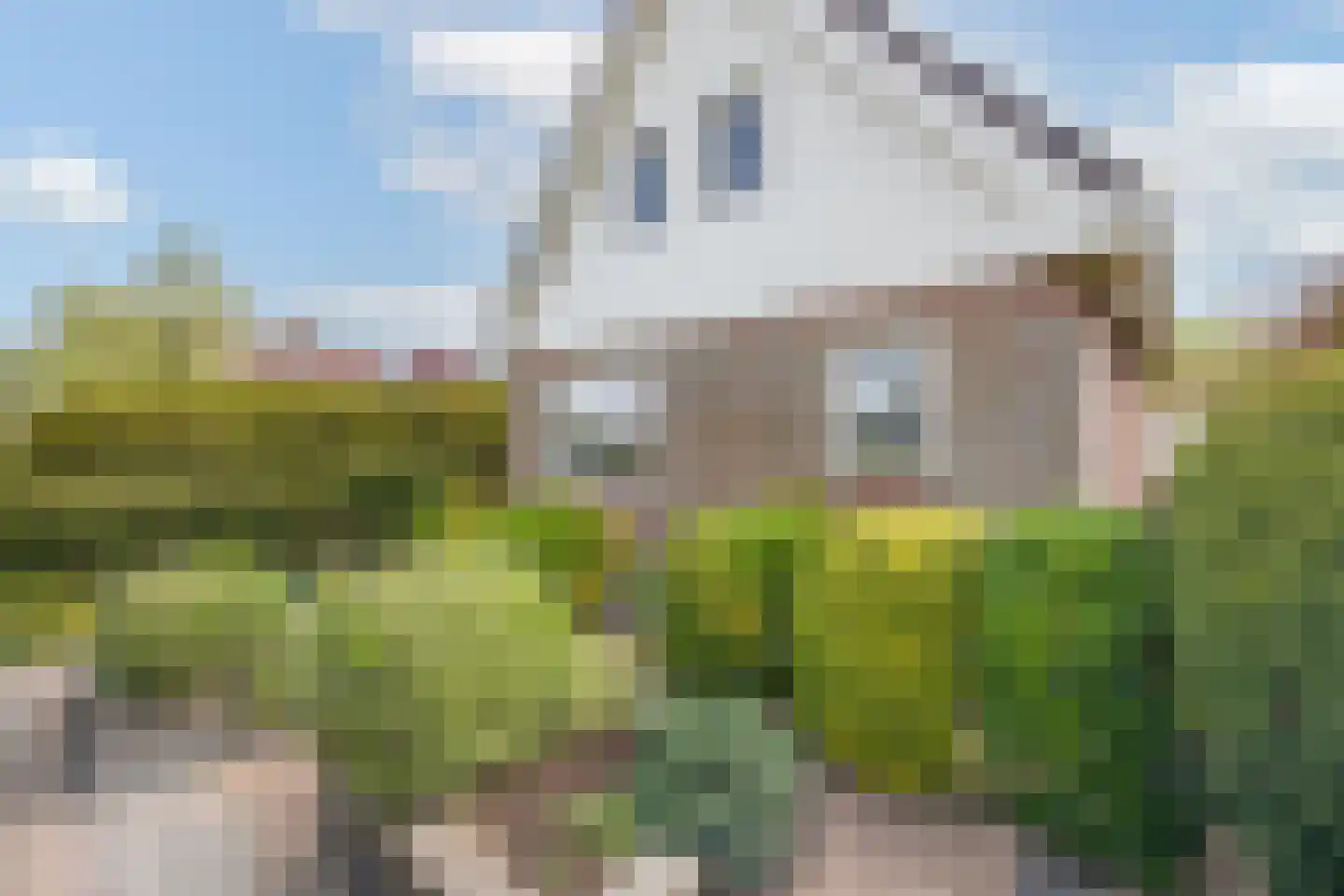 Veilingweg 61 Warmenhuizen thumbnail 7