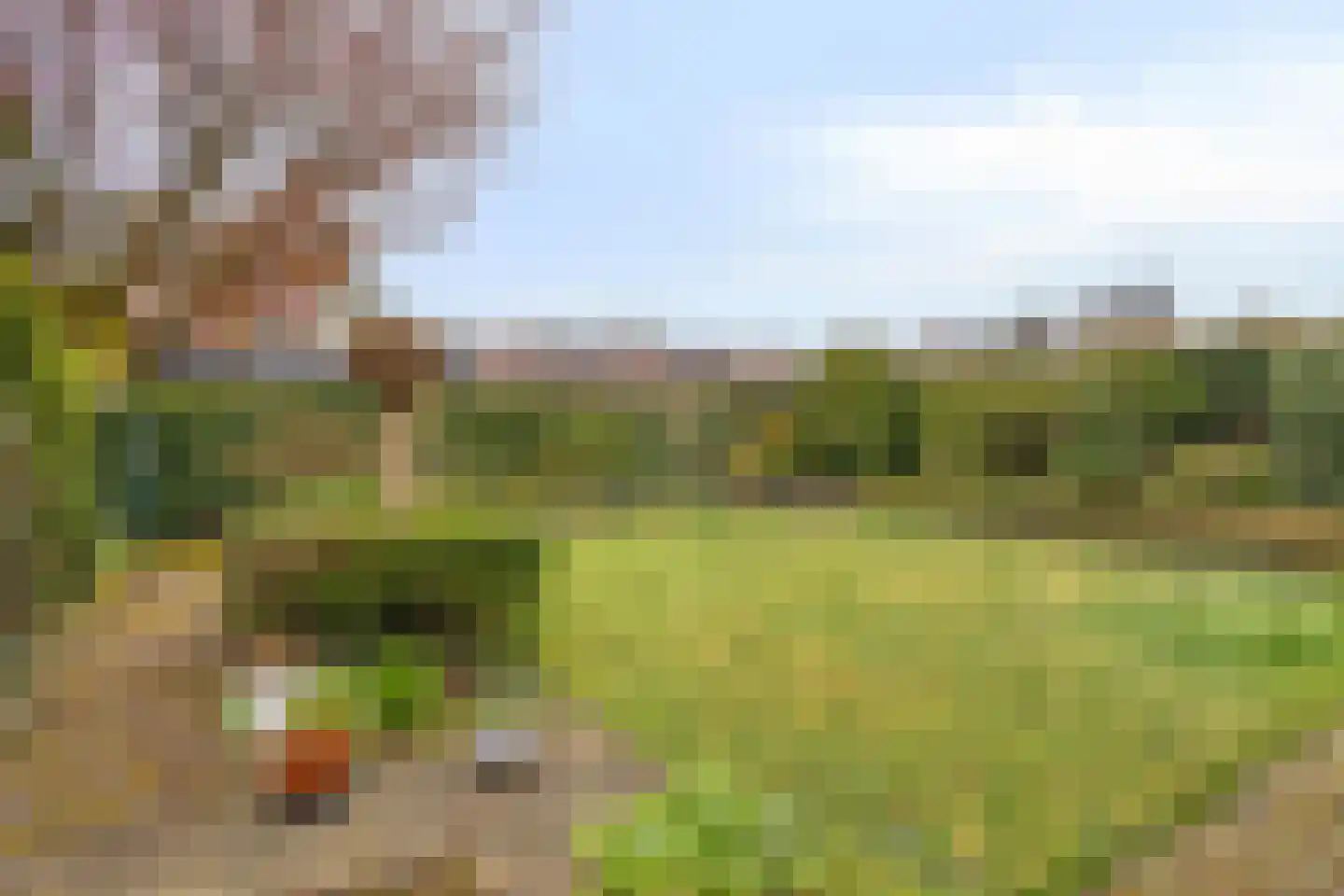 Veken 10 Veldhoven thumbnail 4