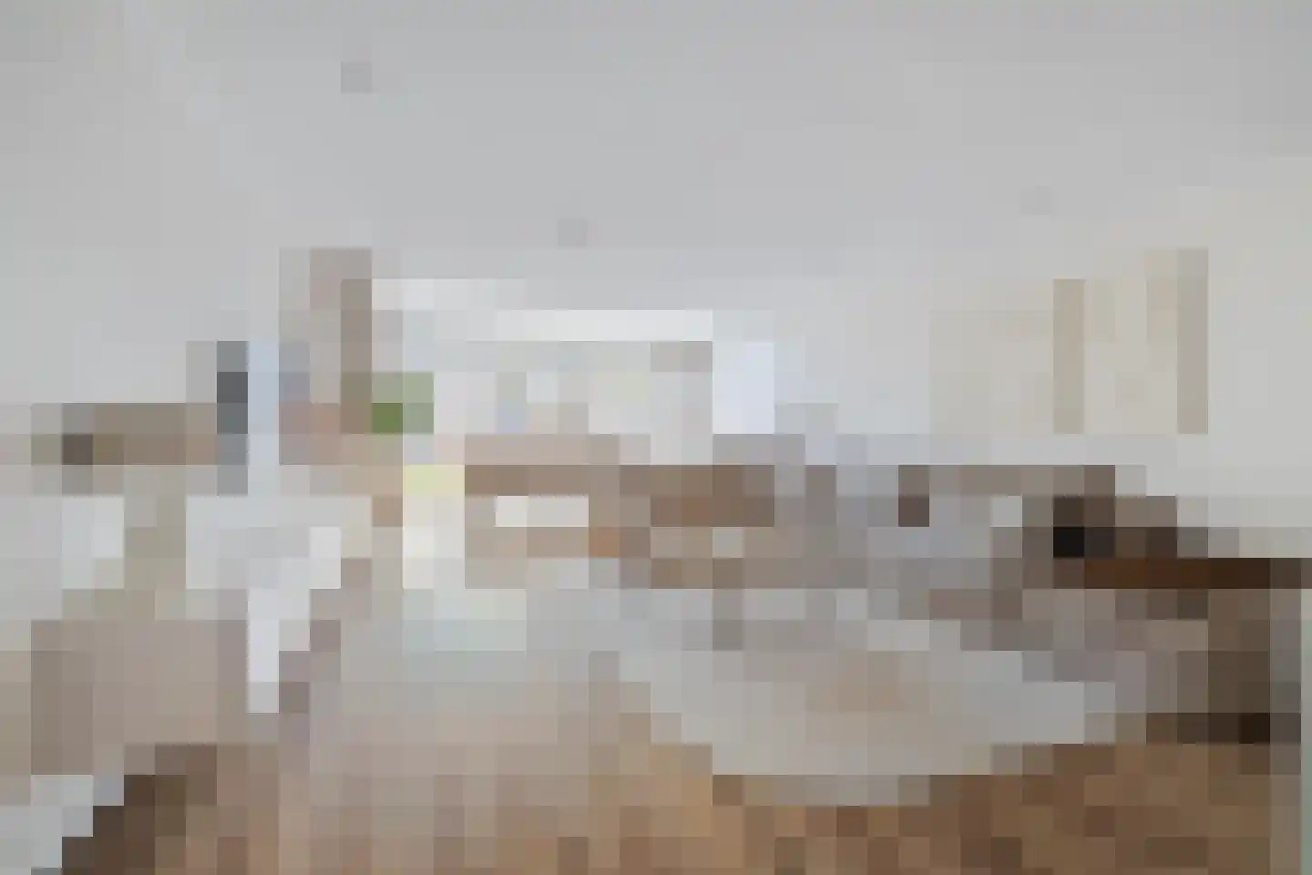 Vekenoord 4 Breda thumbnail 14