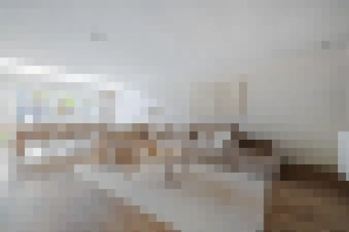 Vekenoord 4 Breda thumbnail 15