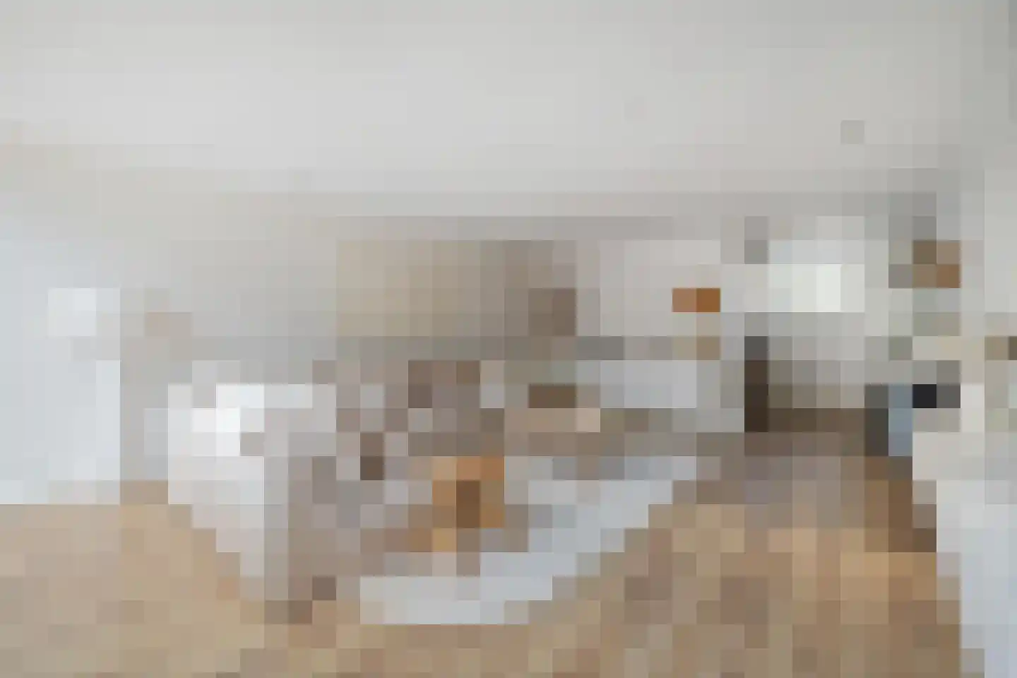 Vekenoord 4 Breda thumbnail 17