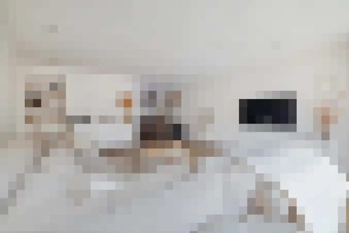 Vekenoord 4 Breda thumbnail 18