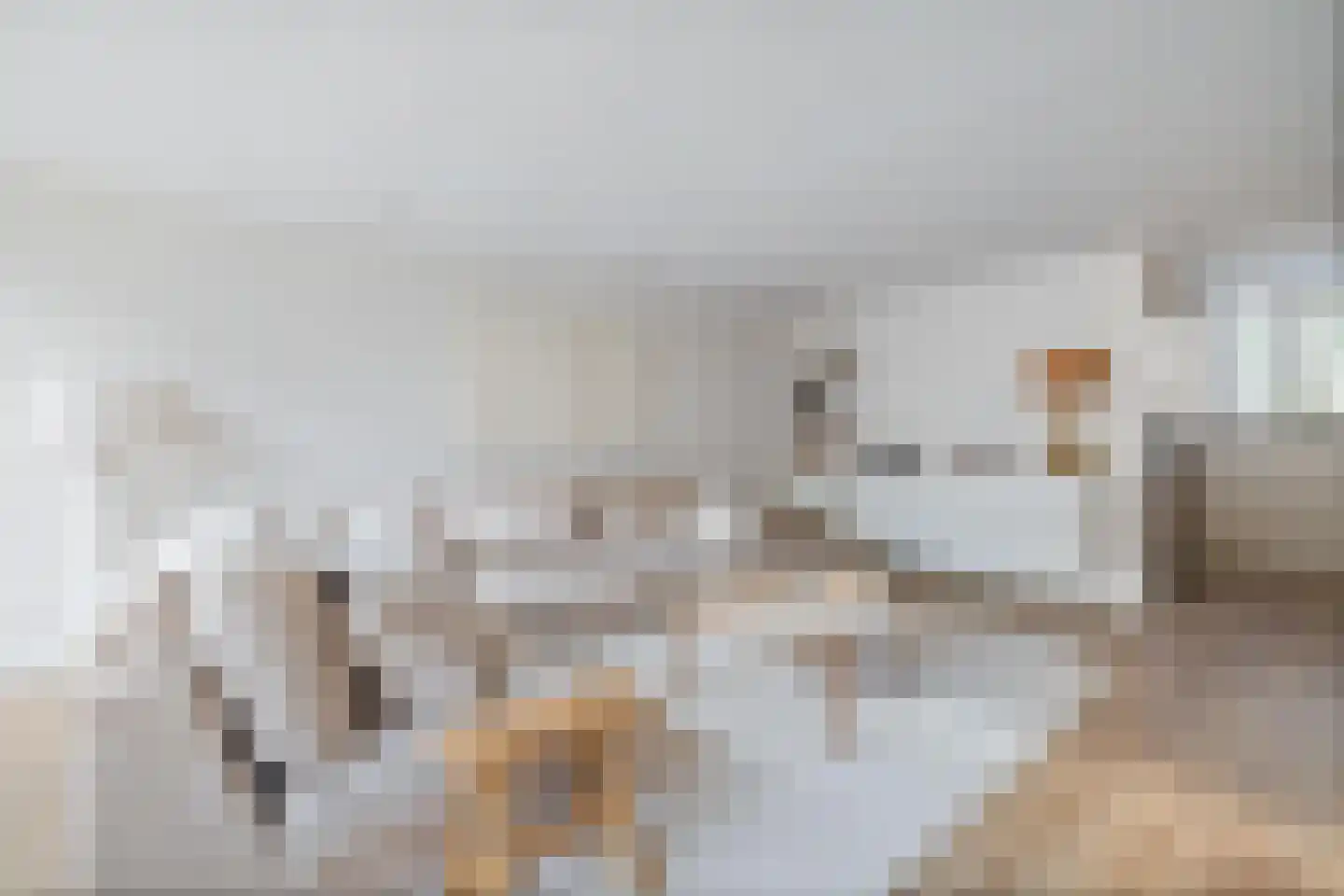 Vekenoord 4 Breda thumbnail 19