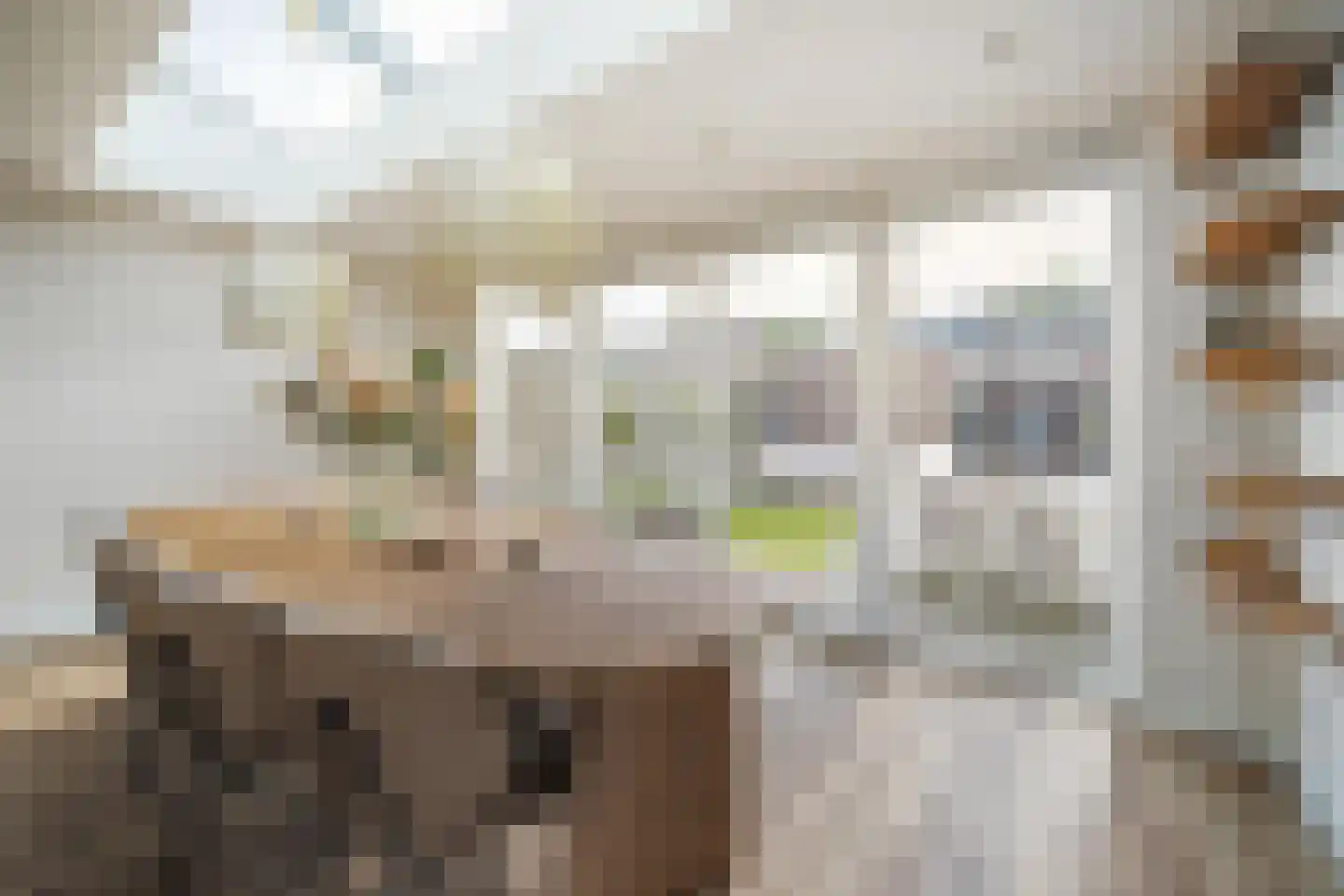 Vekenoord 4 Breda thumbnail 21