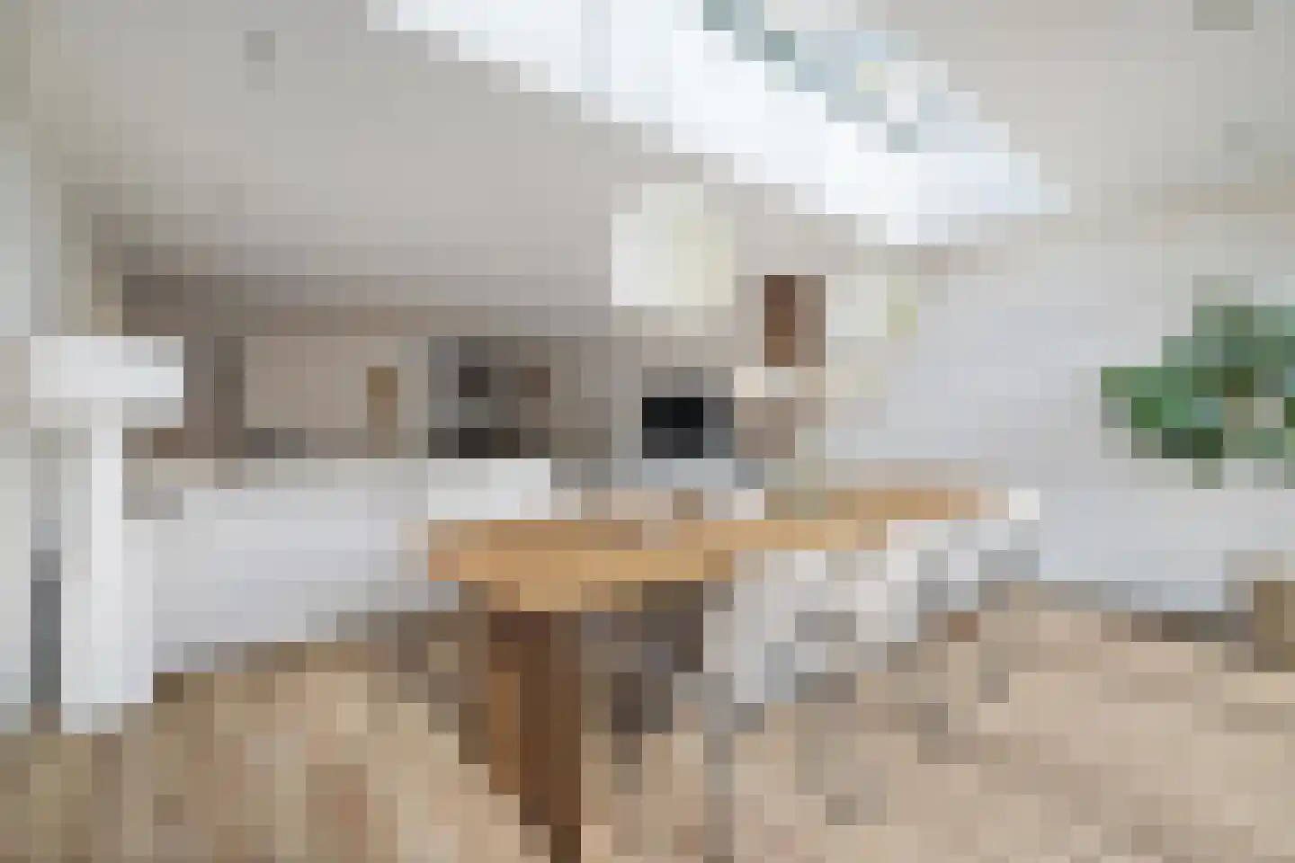 Vekenoord 4 Breda thumbnail 22