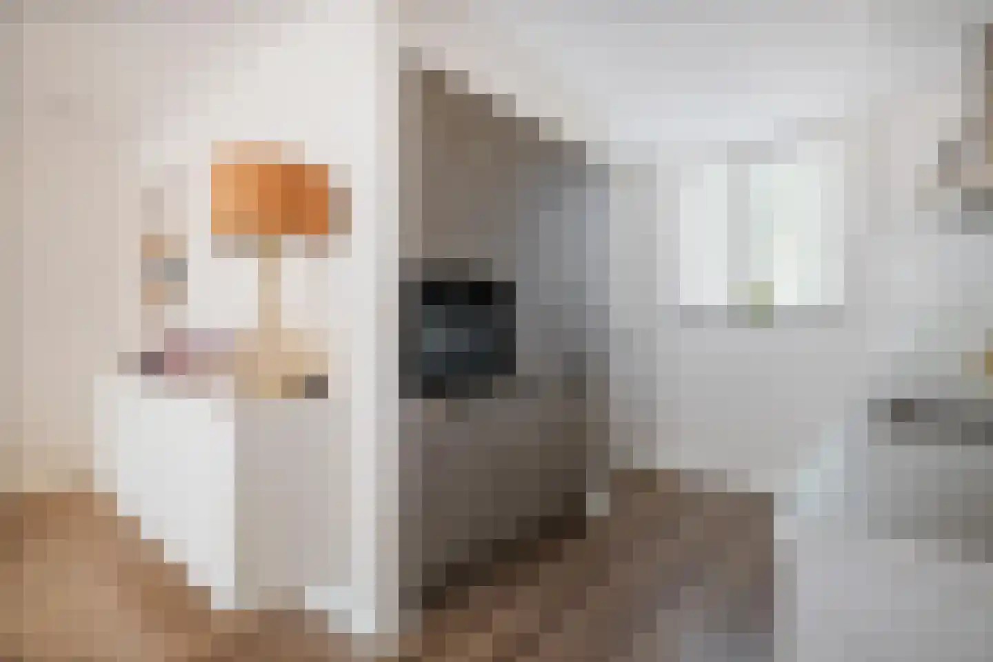 Vekenoord 4 Breda thumbnail 28