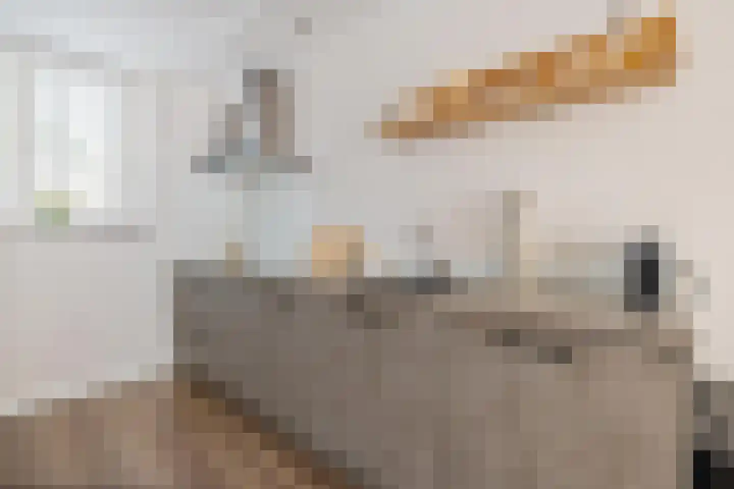 Vekenoord 4 Breda thumbnail 29