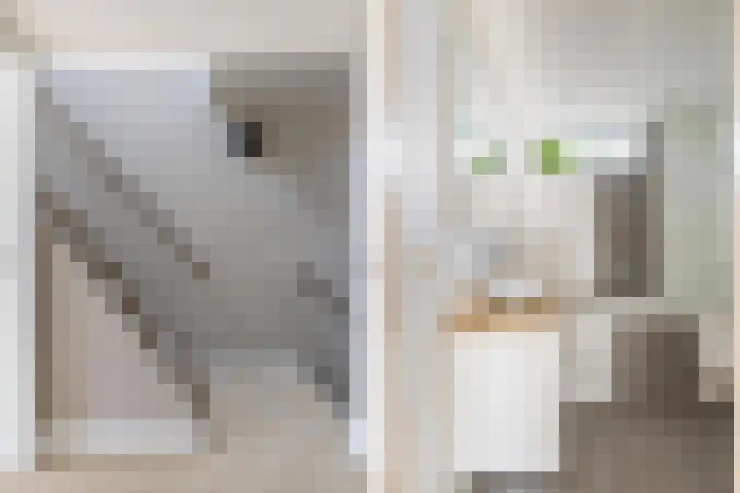 Vekenoord 4 Breda thumbnail 34