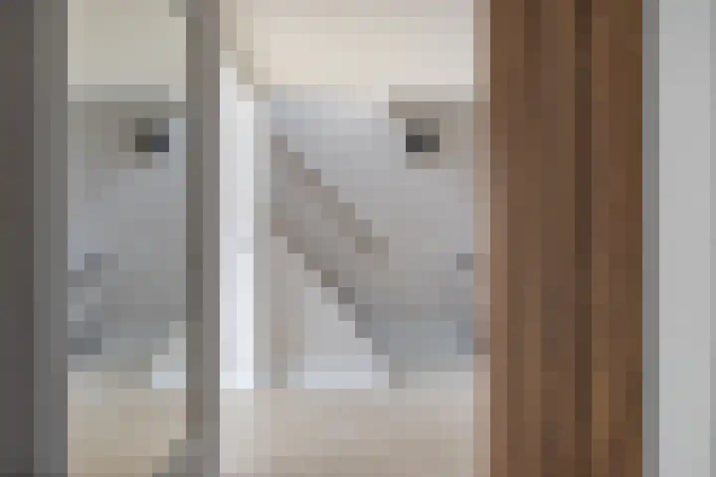Vekenoord 4 Breda thumbnail 35
