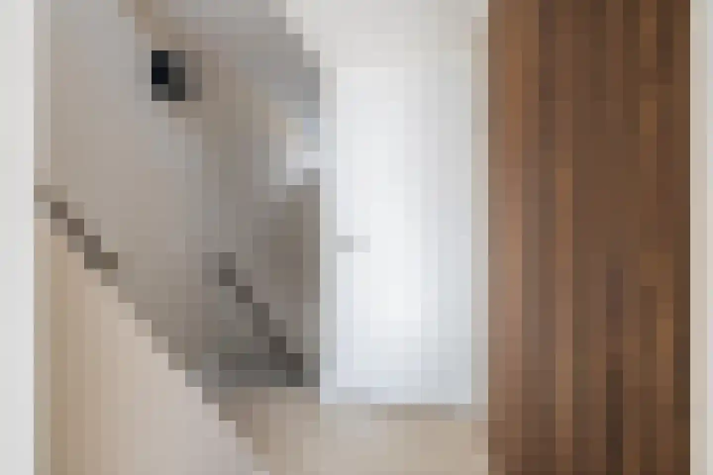 Vekenoord 4 Breda thumbnail 36