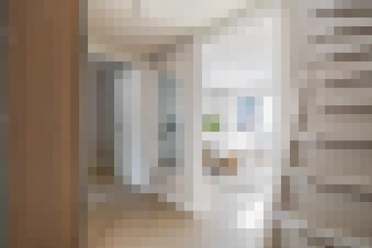 Vekenoord 4 Breda thumbnail 37