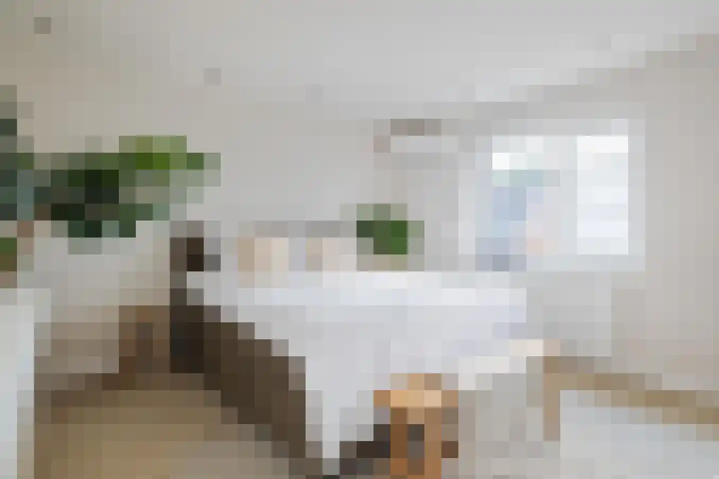 Vekenoord 4 Breda thumbnail 4