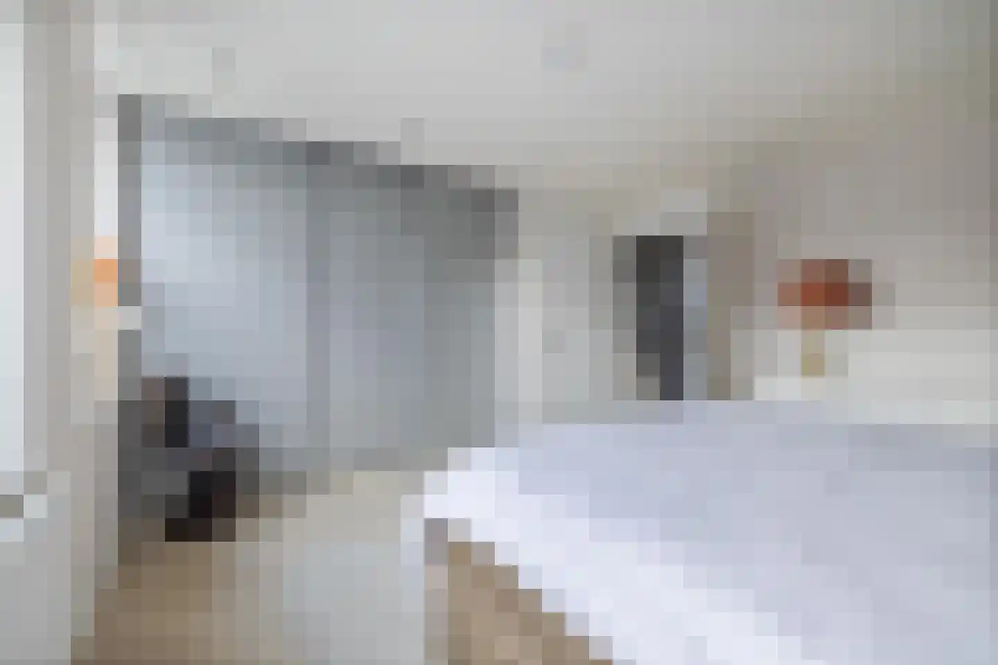 Vekenoord 4 Breda thumbnail 42