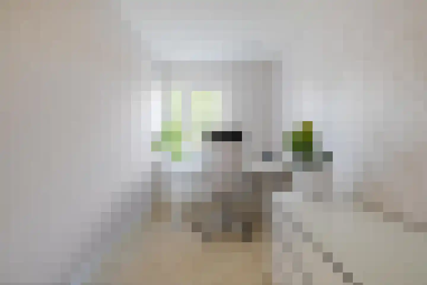 Vekenoord 4 Breda thumbnail 45